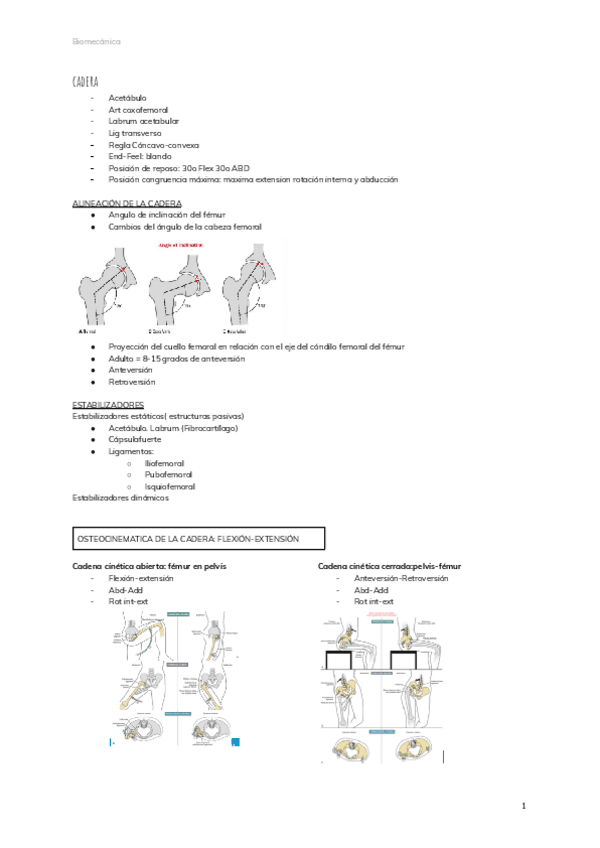 Miniatura del documento cadera-2.pdf