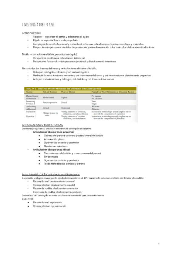 Miniatura del documento CINESIOLOGIA-TOBILLO-Y-PIE-2.pdf