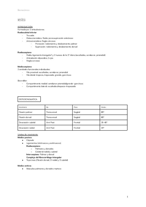 Miniatura del documento muneca-2.pdf