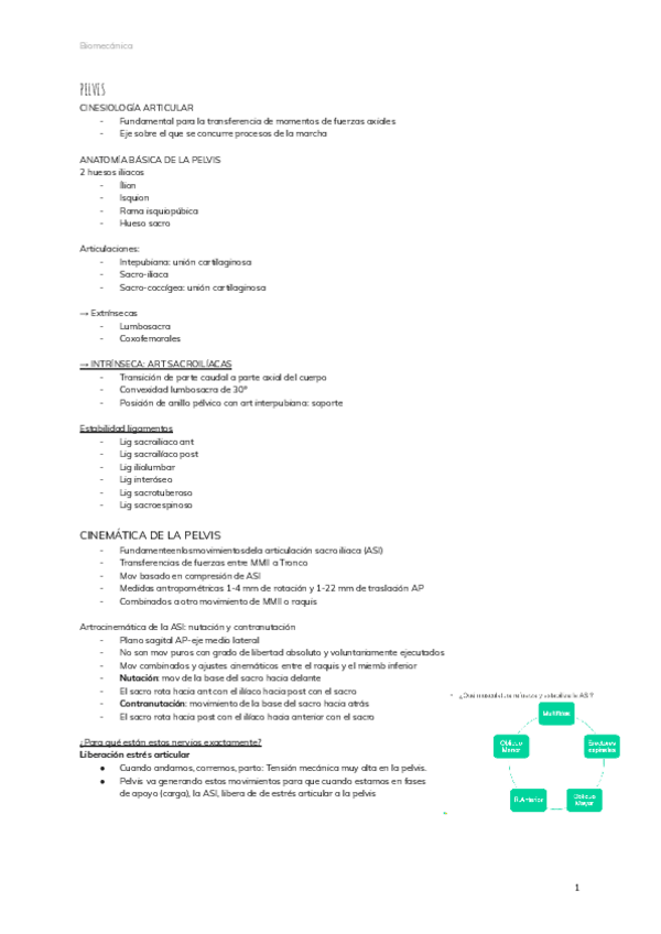 Miniatura del documento PELVIS-2.pdf