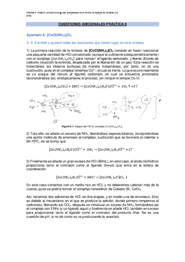 Miniatura del documento CUESTIONES-ADICIONALES-PRACTICA-9.pdf