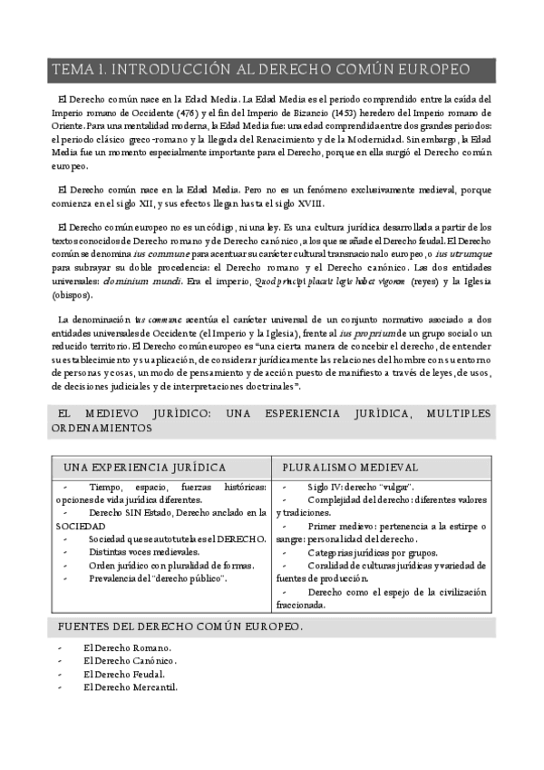 Miniatura del documento D-EUROPEO.pdf