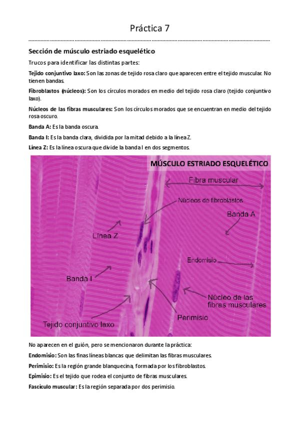 Miniatura del documento Practica-7-BDT-1o-Biotecnologia.pdf