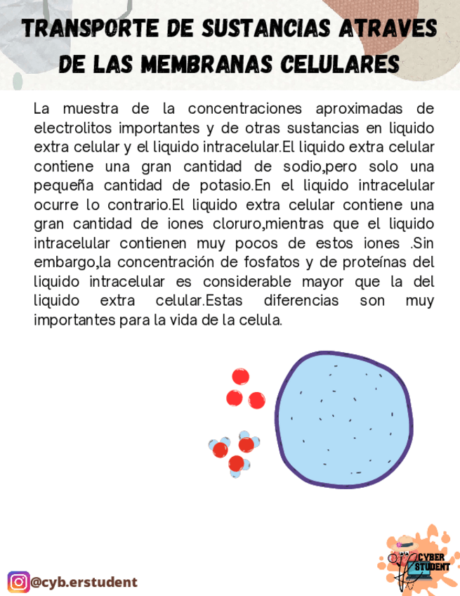 Miniatura del documento TRANSPORTE-DE-SUSTANCIAS.pdf
