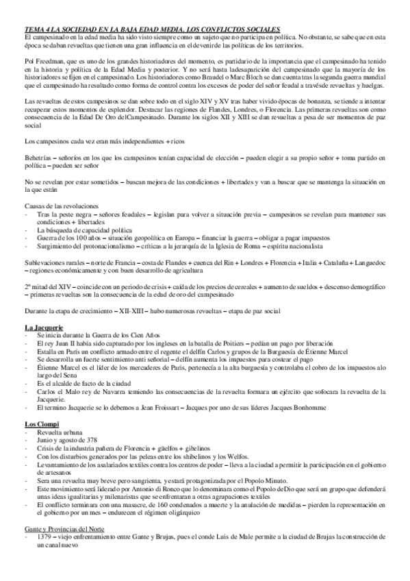 Miniatura del documento TEMA-4-La-sociedad-en-la-Baja-Edad-Media.-Los-conflictos-sociales..pdf