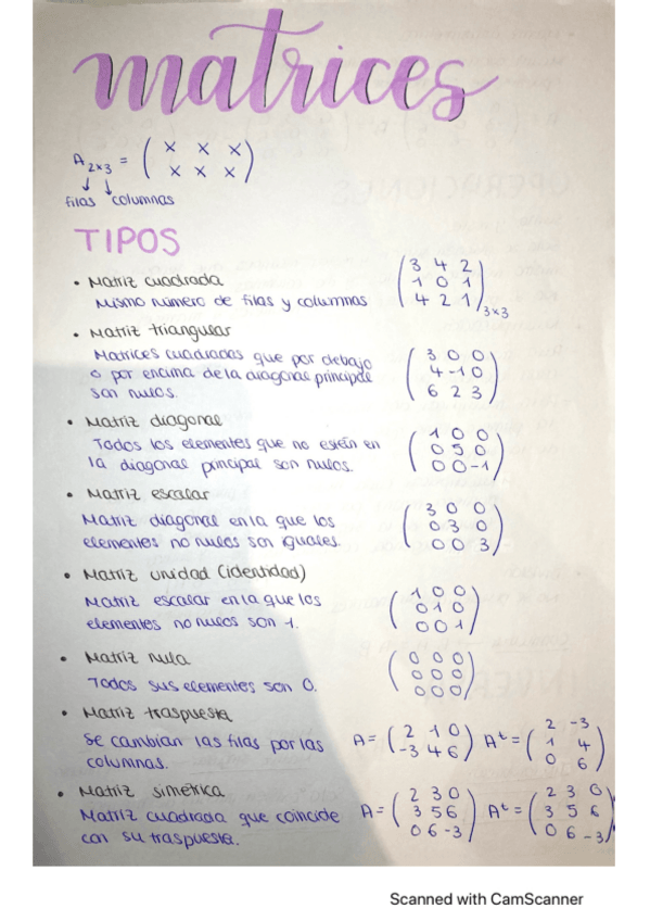 Miniatura del documento Matrices.pdf