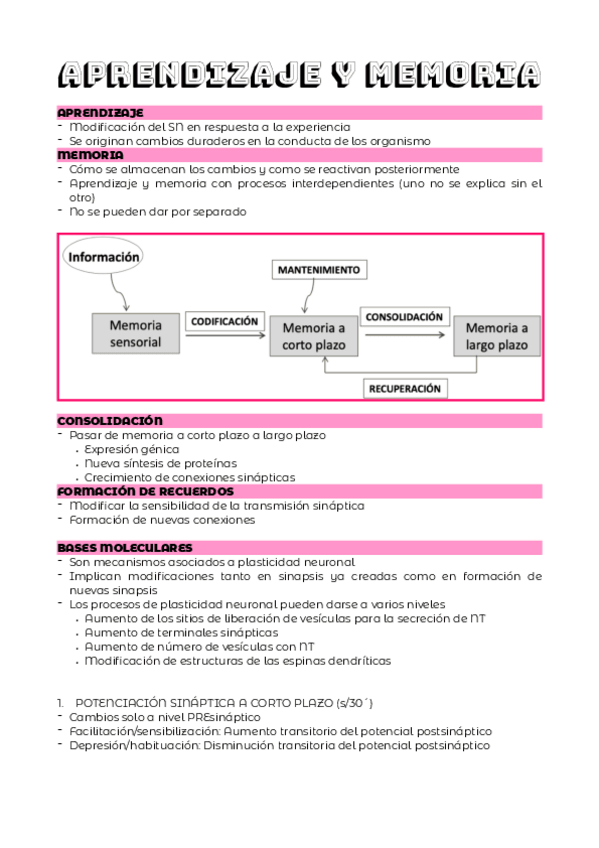 Miniatura del documento TEMA-3.1.pdf