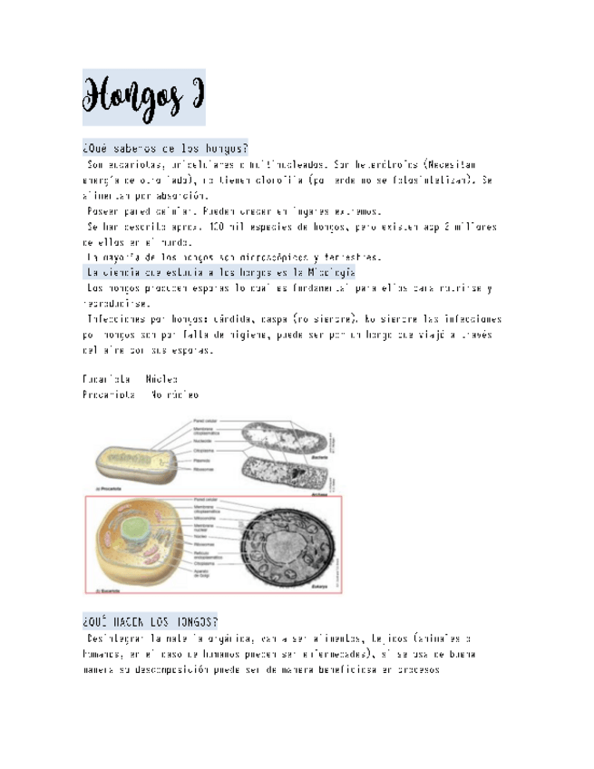 Miniatura del documento Hongos-I.pdf