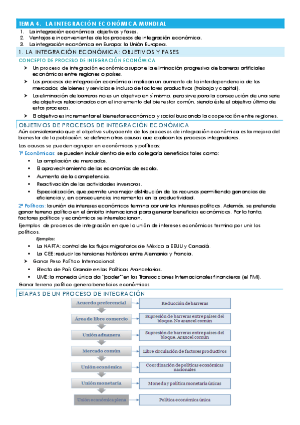 Miniatura del documento TEMA-4.-LA-INTEGRACION-ECONOMICA-MUNDIAL.pdf