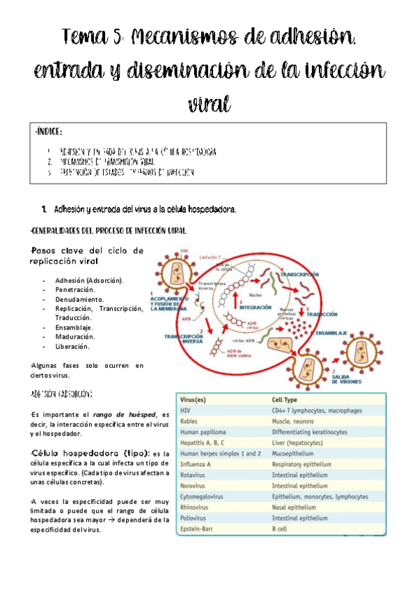 Miniatura del documento tema-5-viro.pdf