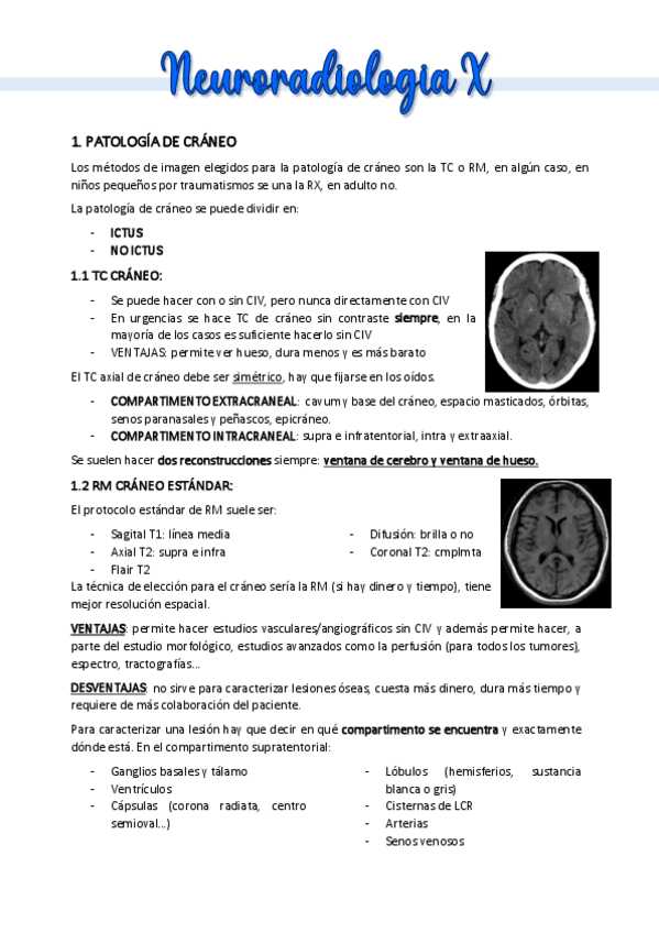 Miniatura del documento NEURO-X.pdf