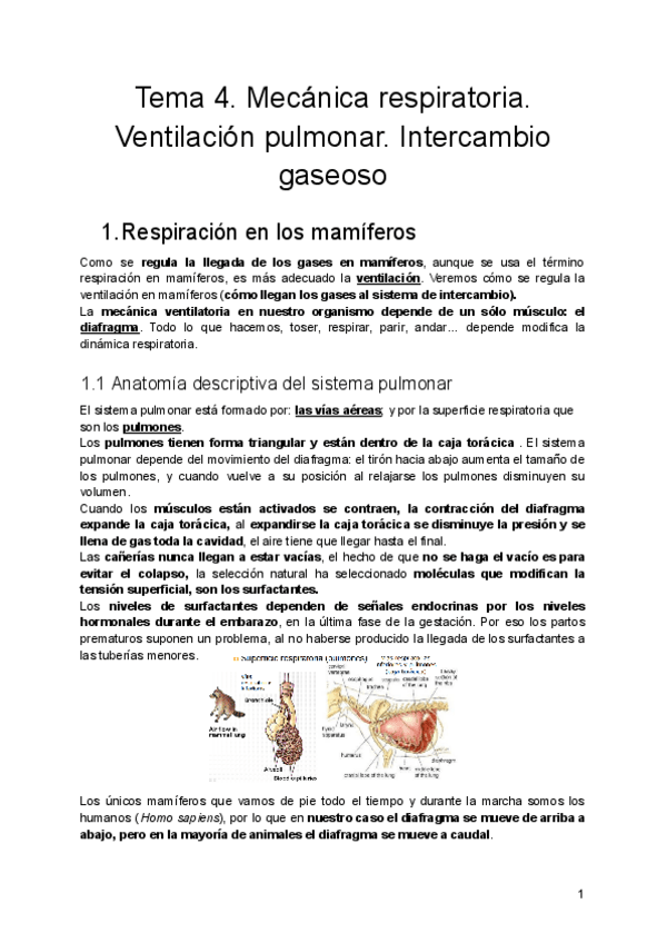Miniatura del documento Tema-4.-Mecanica-respiratoria.-Ventilacion-pulmonar.-Intercambio-gaseoso.pdf