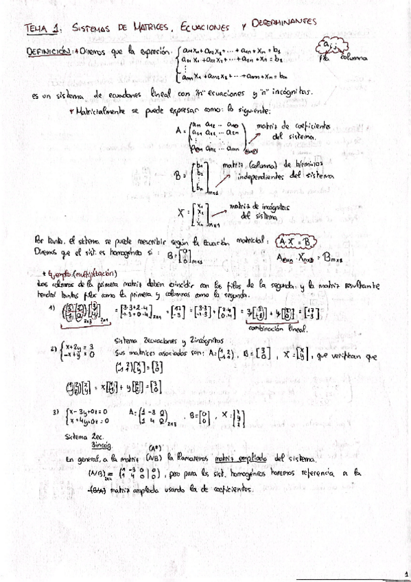 Miniatura del documento ÁLGEBRA: T.1 (Sistemas de Matrices y Determinantes).pdf