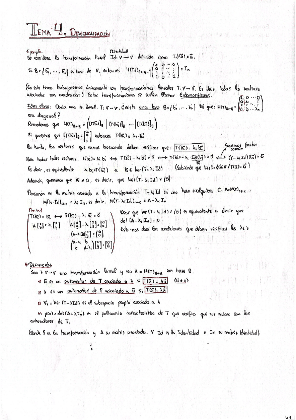 Miniatura del documento ÁLGEBRA: T.4 (Diagonalización).pdf