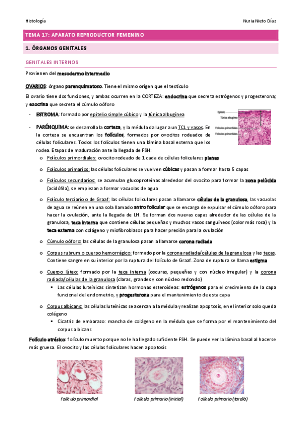 Miniatura del documento TEMA 17 - Aparato reproductor femenino.pdf