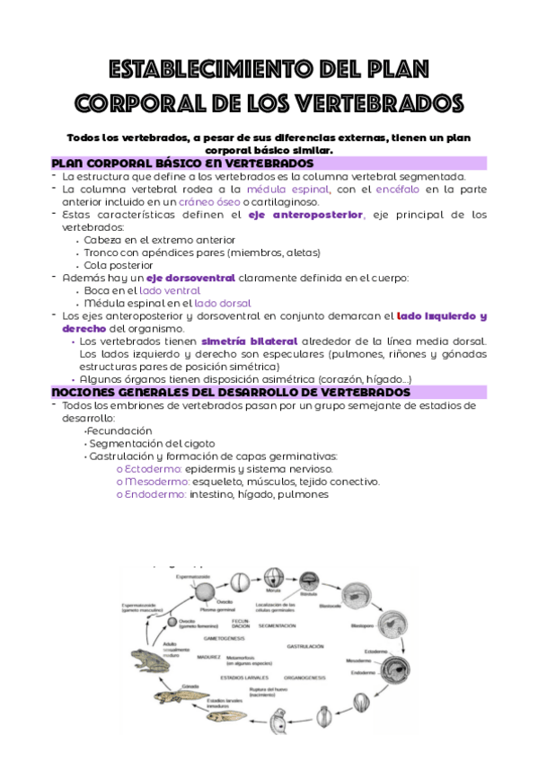 Miniatura del documento TEMA-4.pdf