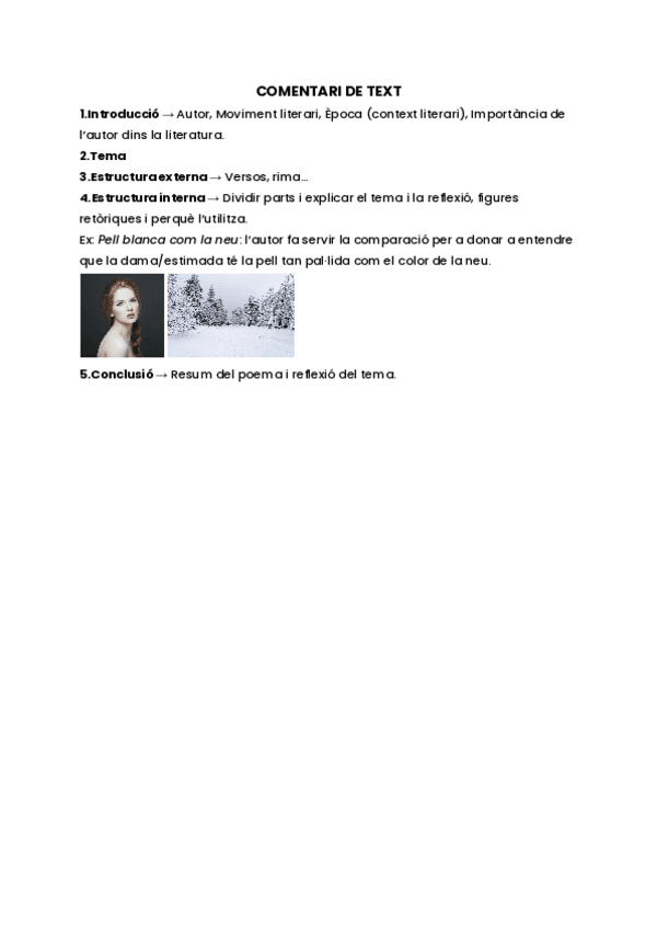 Miniatura del documento Guia-comentari-de-text-catala.pdf