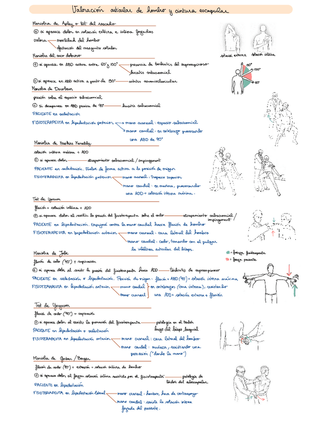 Miniatura del documento PL Valoración en fisioterapia.pdf