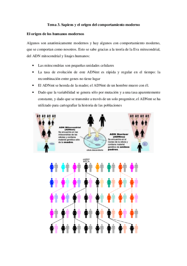 Miniatura del documento Apuntes-Tema-3-Prehistoria.pdf