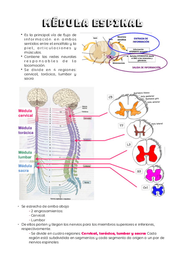 Miniatura del documento TEMA-3.2.pdf
