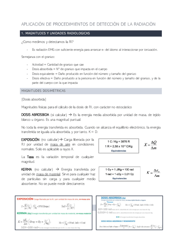 Miniatura del documento ESQUEMA-PROTECCION-tema-1.pdf