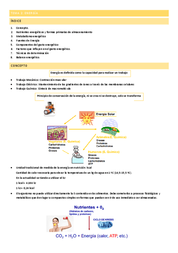 Miniatura del documento TEMA-2-ENERGIA.pdf
