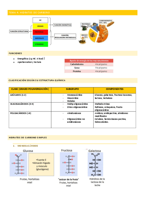 Miniatura del documento TEMA-4-HIDRATOS-DE-CARBONO.pdf
