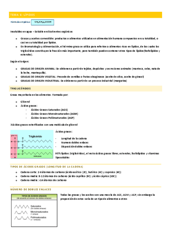 Miniatura del documento TEMA-6-LIPIDOS.pdf