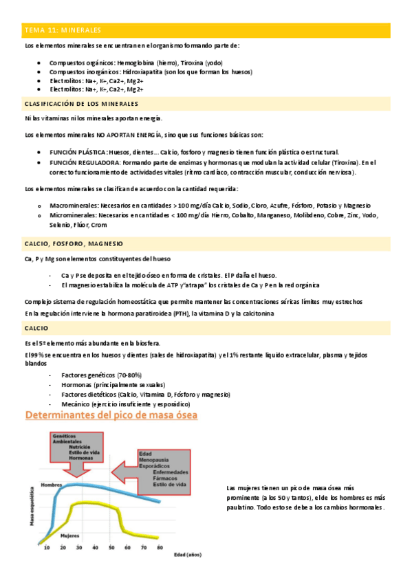 Miniatura del documento TEMA-11-MINERALES.pdf