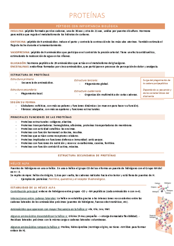 Miniatura del documento Proteinas.pdf