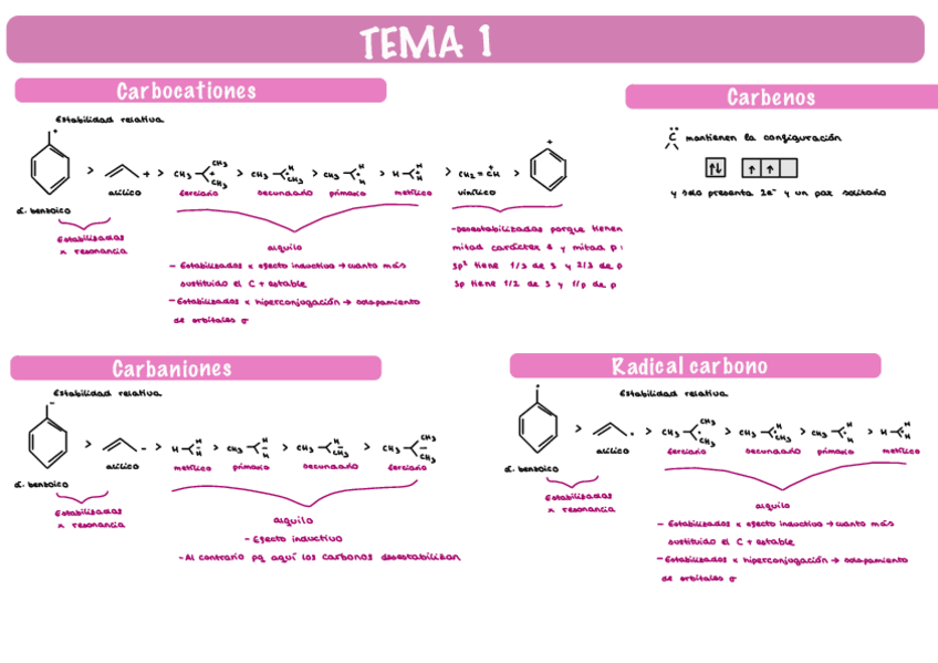Miniatura del documento Quimica-organica-tema-1.pdf