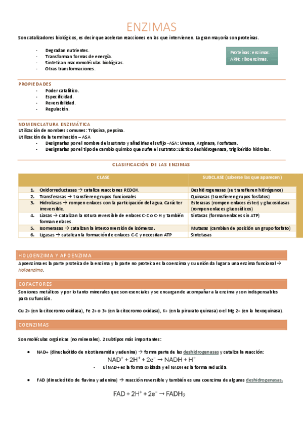 Miniatura del documento Enzimas.pdf