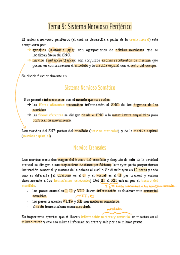 Miniatura del documento Tema-9-Sistema-Nervioso-Periferico.pdf