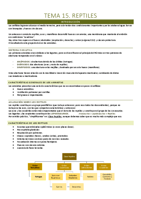 Miniatura del documento T.15. Reptiles.pdf