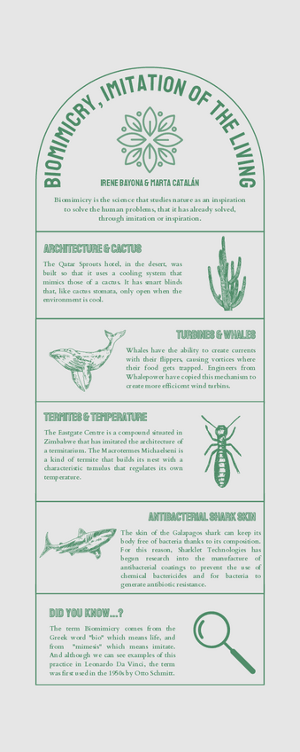 Miniatura del documento BIOMIMICRY.pdf
