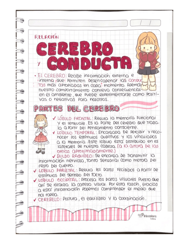 Miniatura del documento RELACION-CEREBRO-Y-CONDUCTA.pdf