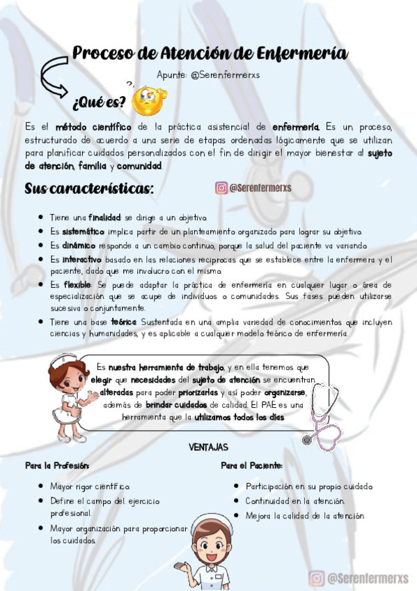 Miniatura del documento PRACTICA-PROFESIONALIZANTE-APUNTES.pdf