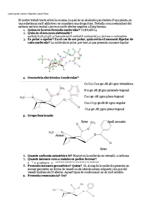 Miniatura del documento treball-quimica2.pdf