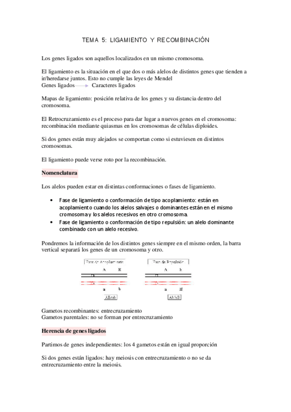 Miniatura del documento TEMA5GEN.pdf