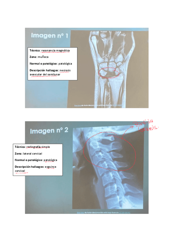 Miniatura del documento imagenes-diagnostico-resuelto-2022.pdf