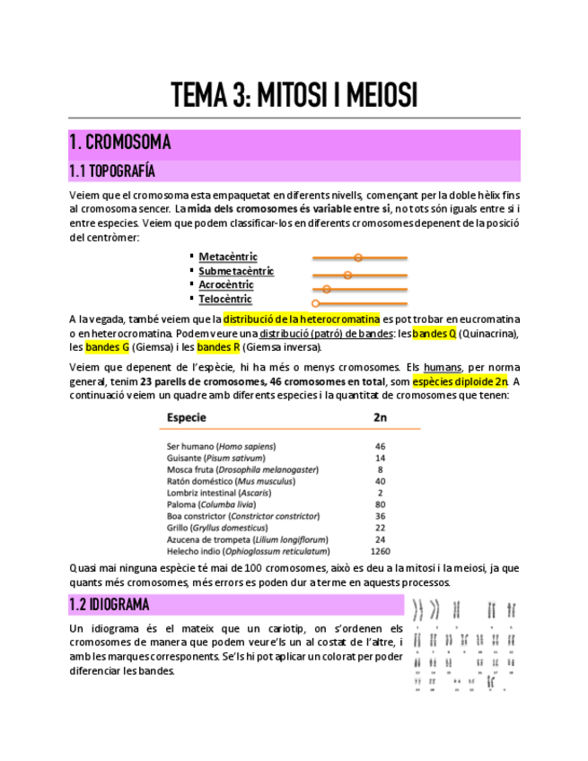 Miniatura del documento Tema-3-Mitosi-i-meiosi.pdf