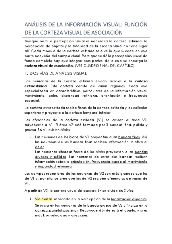 Miniatura del documento visión.pdf