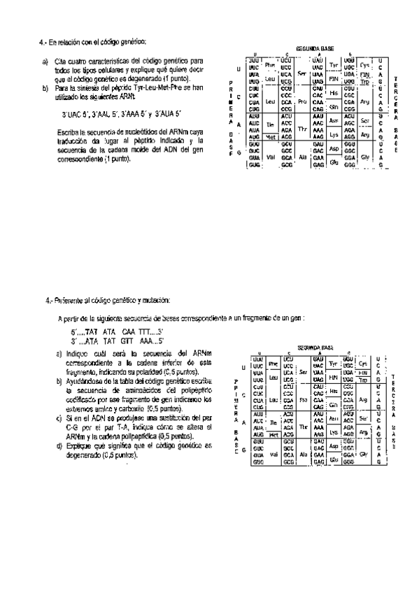 Miniatura del documento ejercodigo-gen.pdf