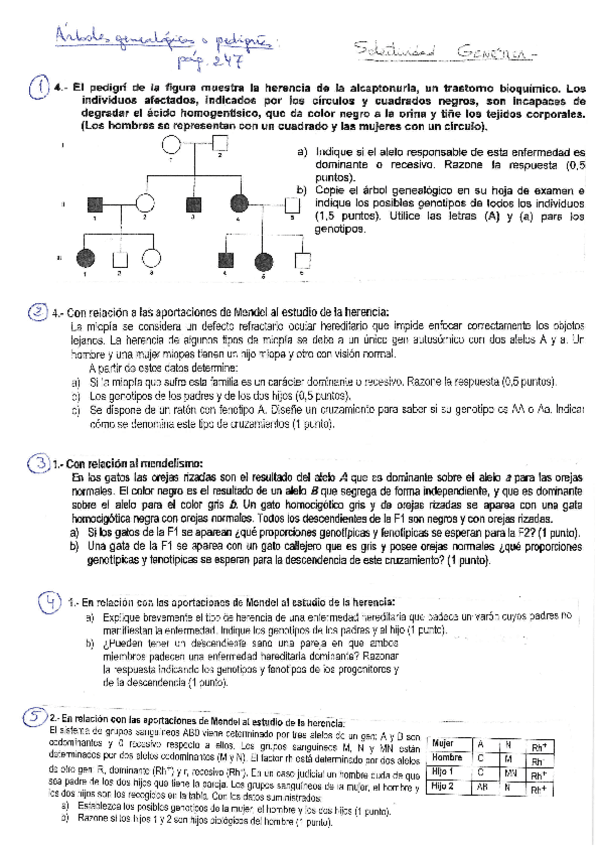 Miniatura del documento EvAUMendel2.pdf