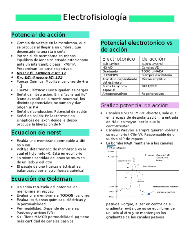 Miniatura del documento resumen-neuro.docx