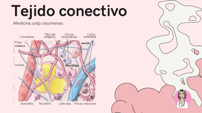 Miniatura del documento TEJIDO-CONECTIVO.pdf
