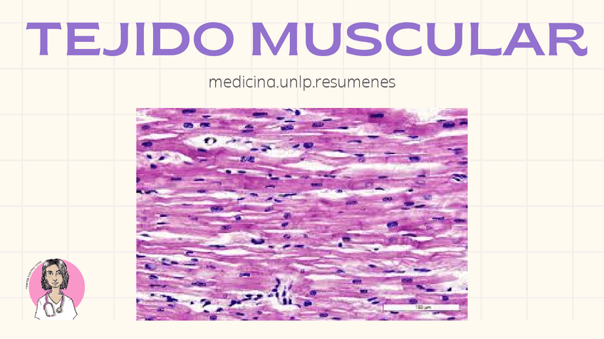 Miniatura del documento TEJIDO-MUSCULAR.pdf