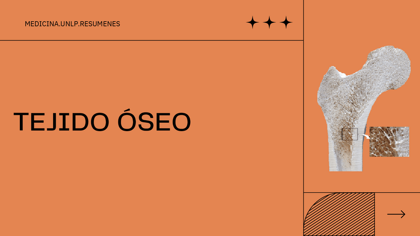 Miniatura del documento TEJIDO-OSEO.pdf