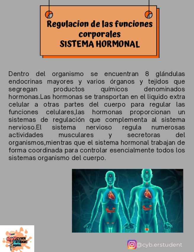 Miniatura del documento SISTEMA-HORMONAL.pdf