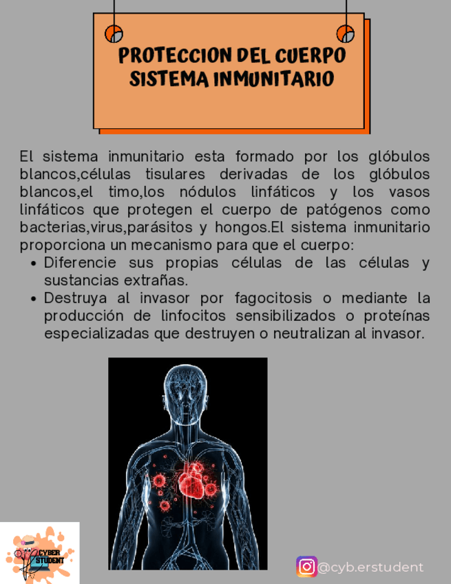 Miniatura del documento SISTEMA-INMUNITARIO.pdf